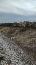 Large-scale manure bokashi